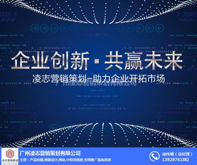 选择凌志营销策划，打造卓越企业网站与信息系统集成服务